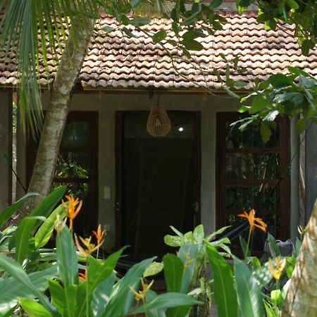 Dreamtime Hotel Хикадува Екстериор снимка